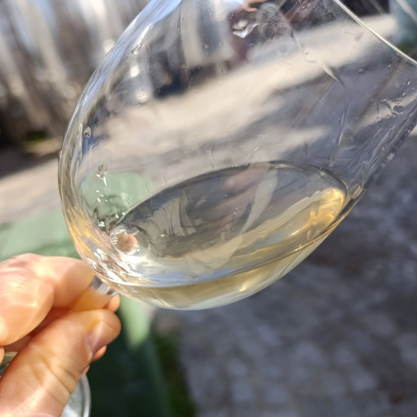Almost ready to bottle | Malagouzia Vidiano Chardonnay 2024